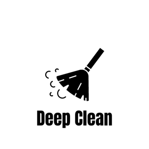 PlayStation 5 (PS5) Deep Clean